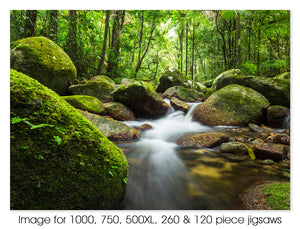 Rainforest stream in Mossman Gorge, Daintree National Park. Mossman QLD