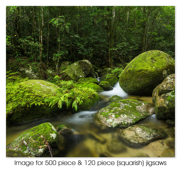 Rainforest stream, Mt Lewis National Park QLD