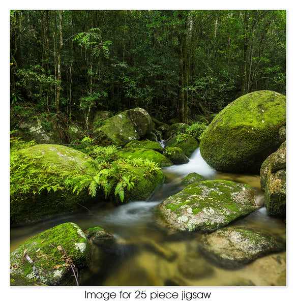 Rainforest stream, Mt Lewis National Park QLD