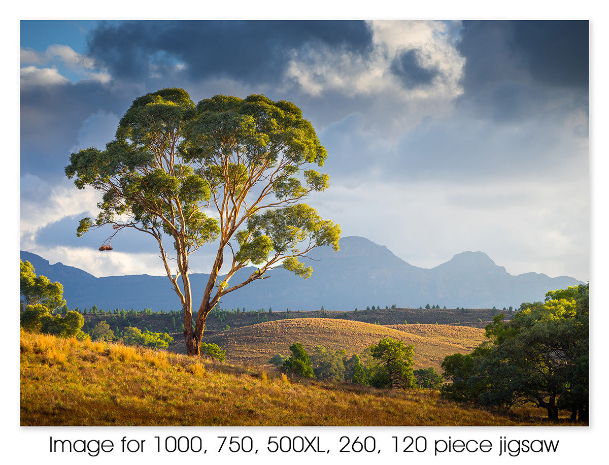 Resting Place, Flinders Ranges SA