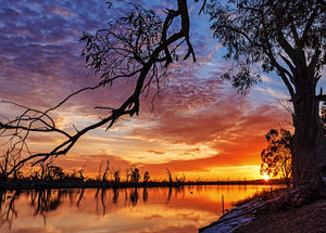 River sunrise