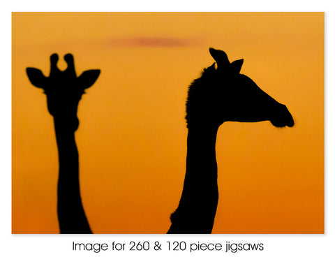 Silhouetted Giraffes