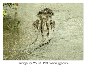 Stealth Croc, NT