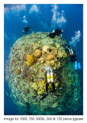 Steve's Bommie Divers, Ribbon Reefs, Great Barrier Reef Marine Park QLD