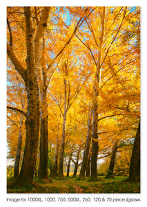 Tall Trees of Curtin, ACT