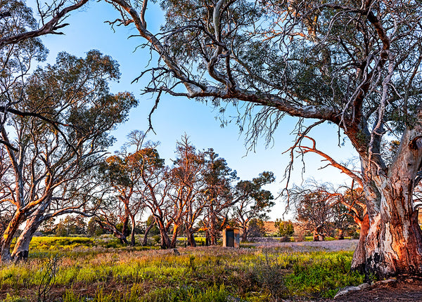 The Campground