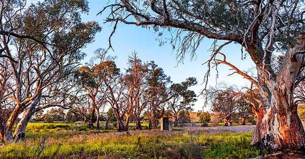 The Campground