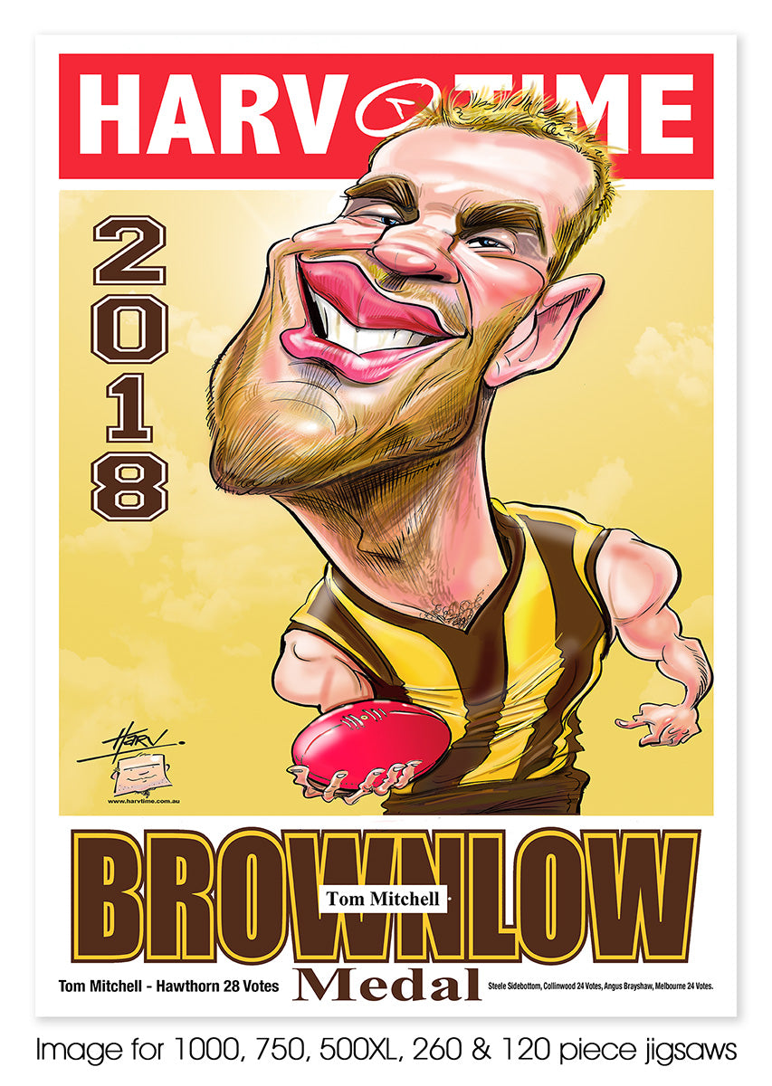 Tom Mitchell - 2018 Brownlow Medal
