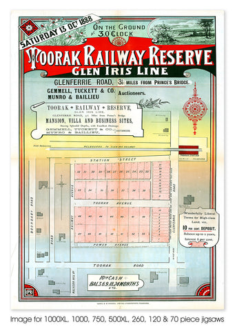 Toorak Railway Reserve - 1888