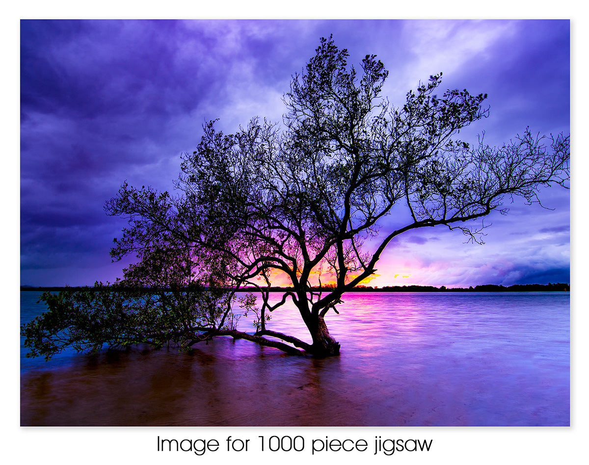 Cabbage Tree Point, Northern Gold Coast QLD