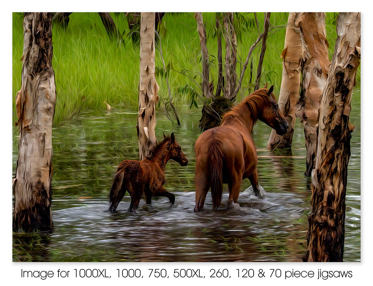 Wild Brumbies, Kakadu NT 01