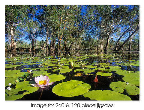 Yellow Water, Kakadu NT