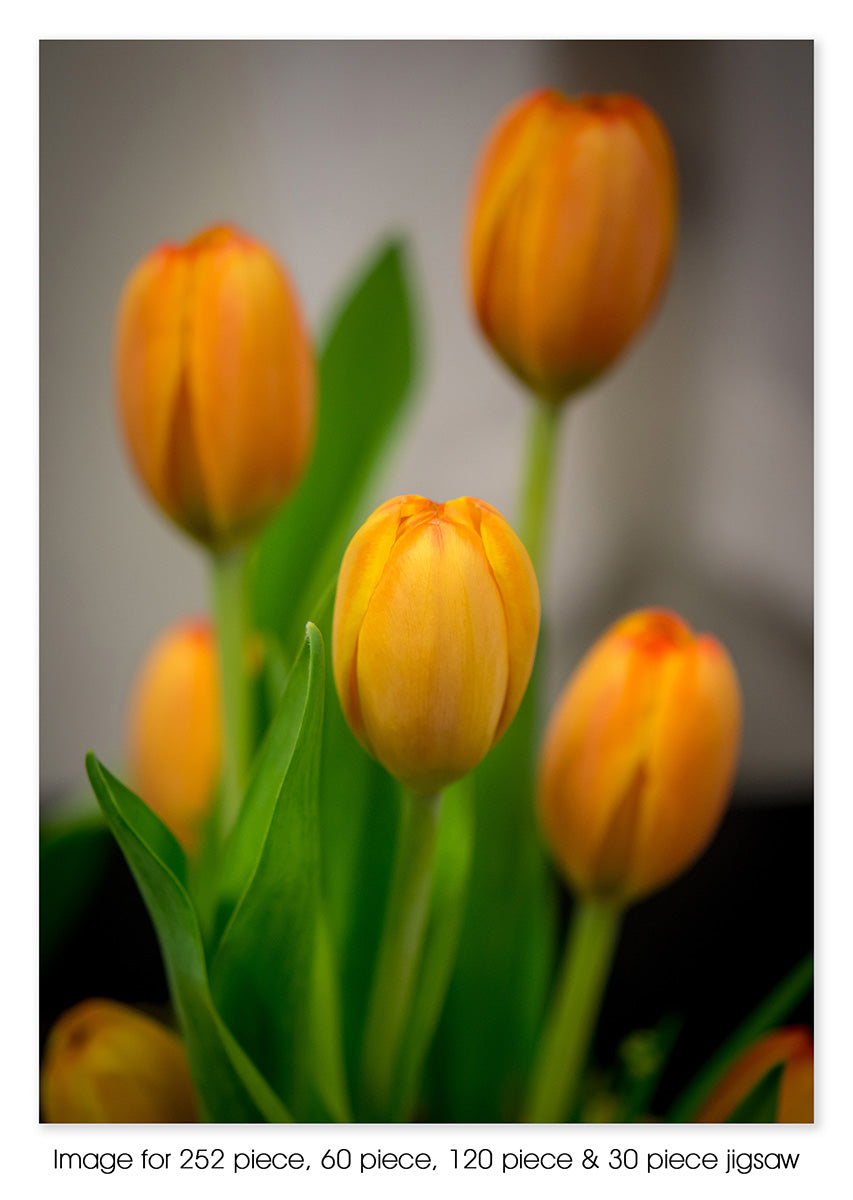 Yellow Tulips